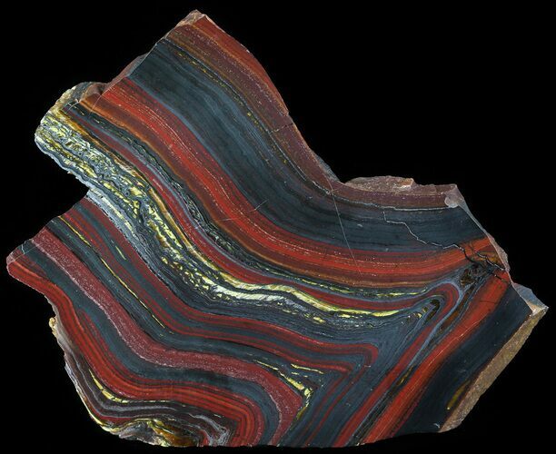 Polished Tiger Iron Stromatolite - ( Billion Years) #63993